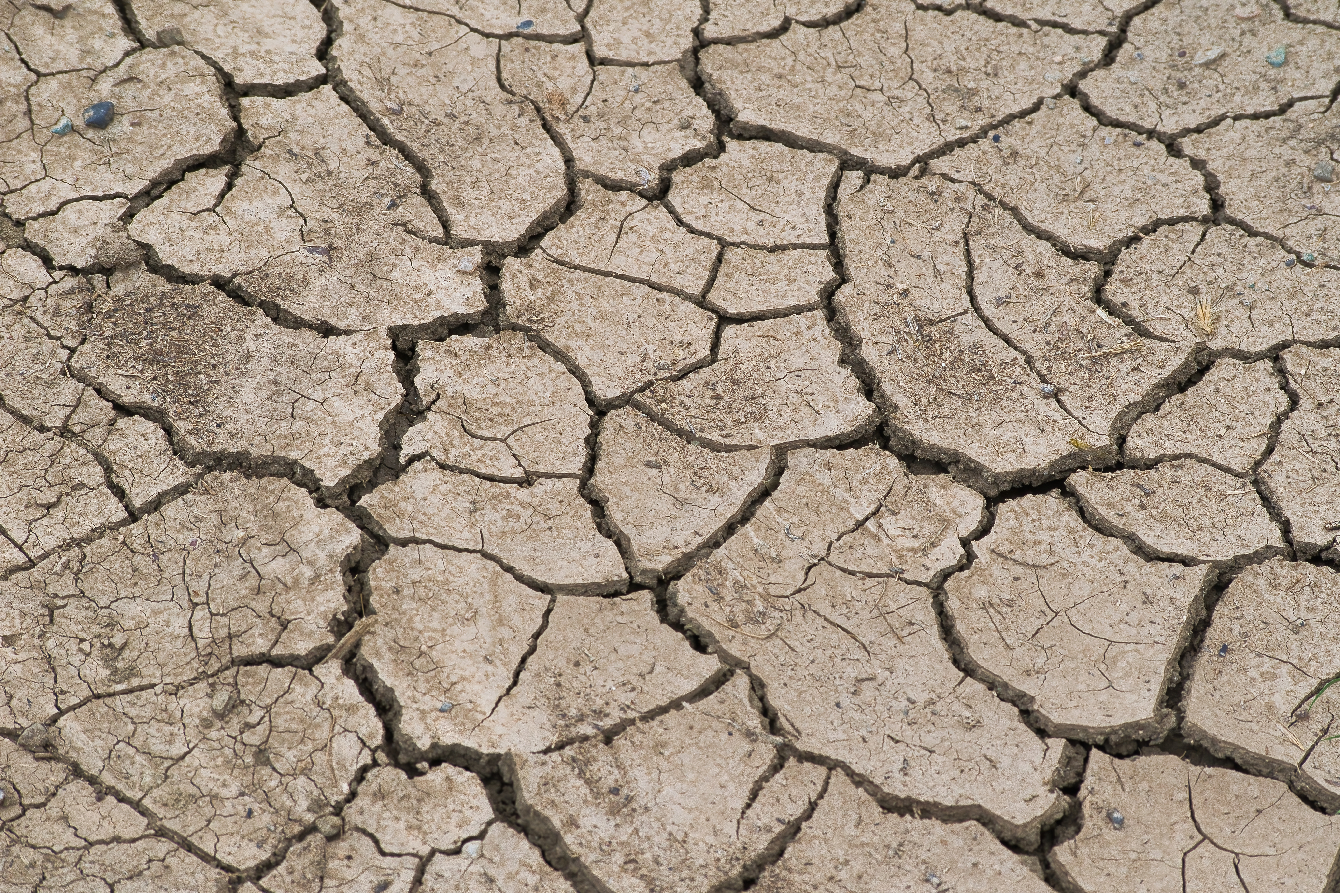 Wody Polskie: susza hydrologiczna może całkowicie wykluczać żeglarstwo na rzekach znaturalizowanych