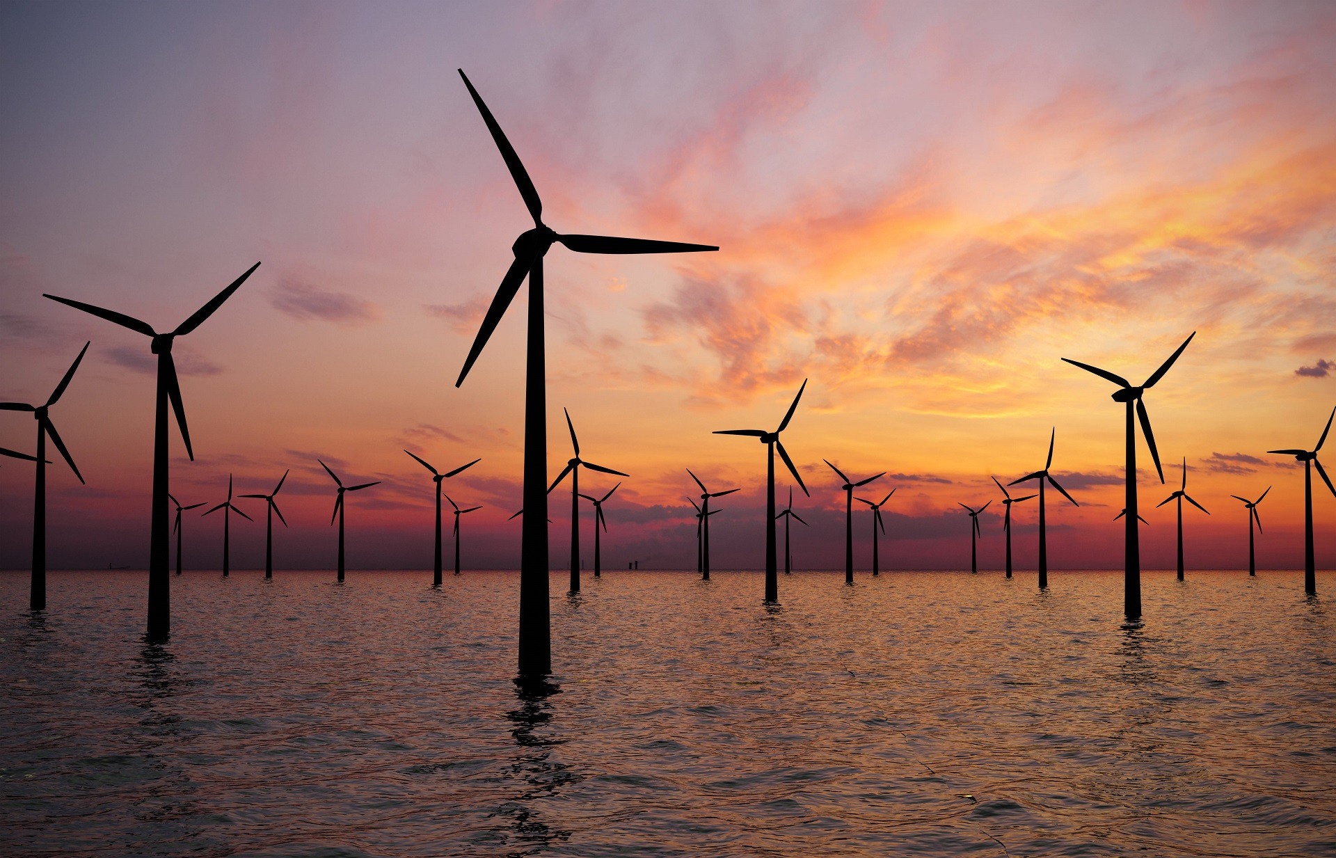 Trwają badania środowiskowe w związku z planowaną budową farmy wiatrowej Baltic West