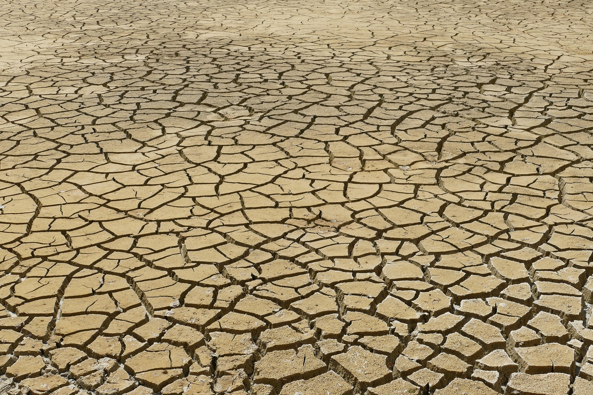 Prof. Chojecki: Koszty zmian klimatu ponosi całe społeczeństwo
